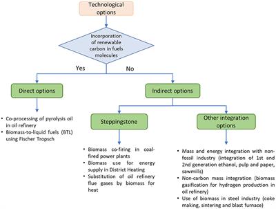 Perspectives for Greening European Fossil-Fuel Infrastructures Through Use of Biomass: The Case of Liquid Biofuels Based on Lignocellulosic Resources